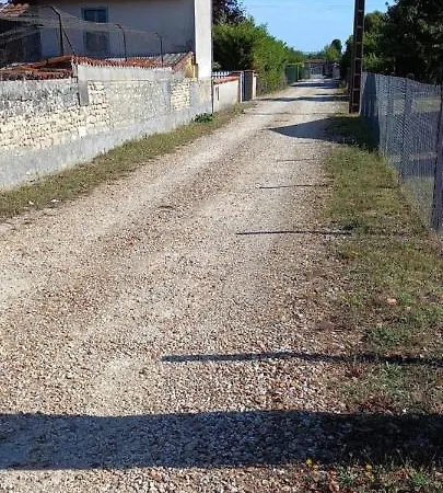 Nuit En Car : Experience Immersive Segonzac (Charente)